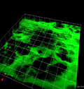 Linea 8. Imaging molecolare e cellulare per lo studio delle malattie oncologiche, cardiovascolari e della infiammazione