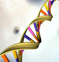 Linea 7. Genomica, proteomica e strutturistica per lo studio dei meccanismi molecolari di malattia, della risposta ai farmaci e della diagnostica innovativa